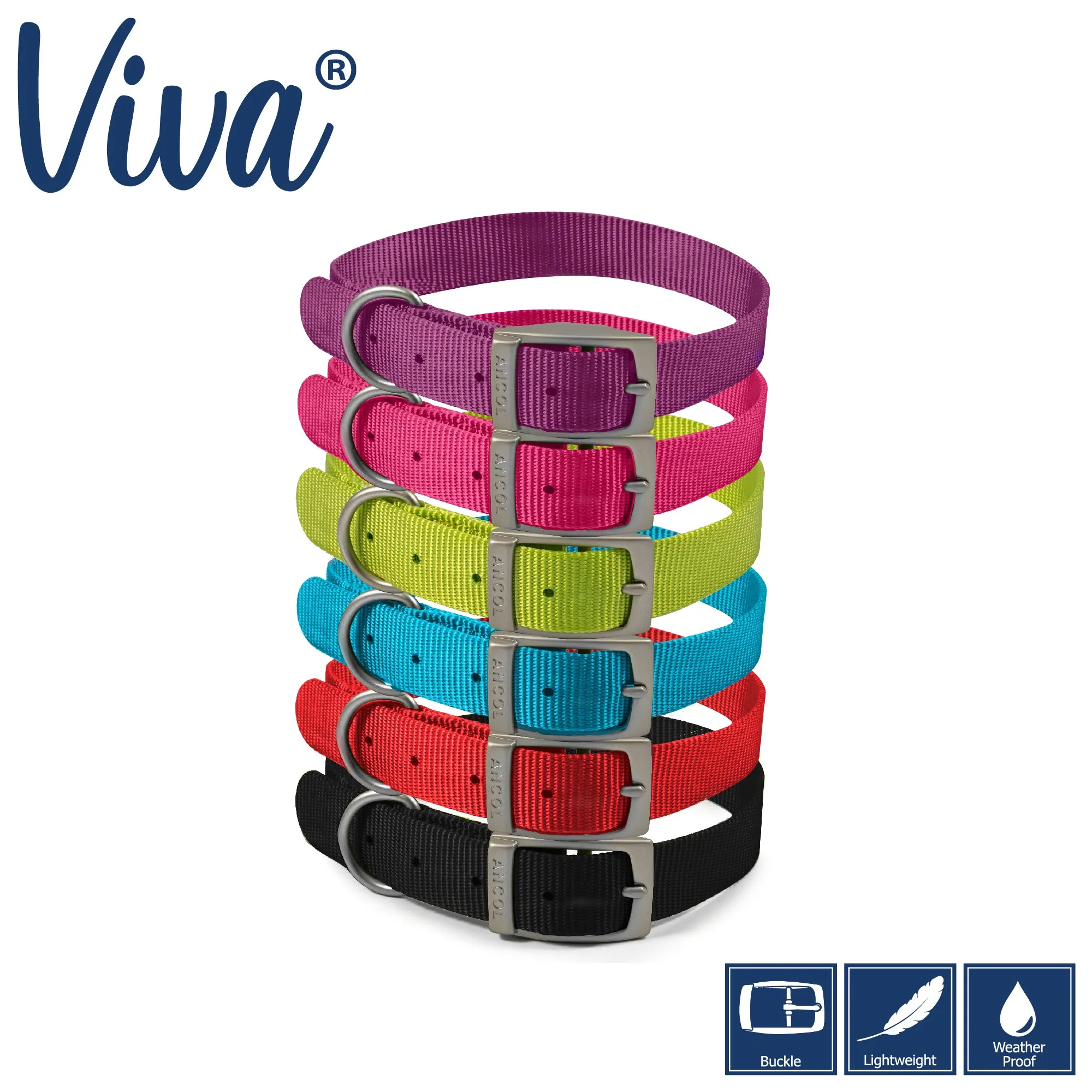 Ancol - Viva Nylon Buckle Collar - Lime - Size 5 (39-48cm)