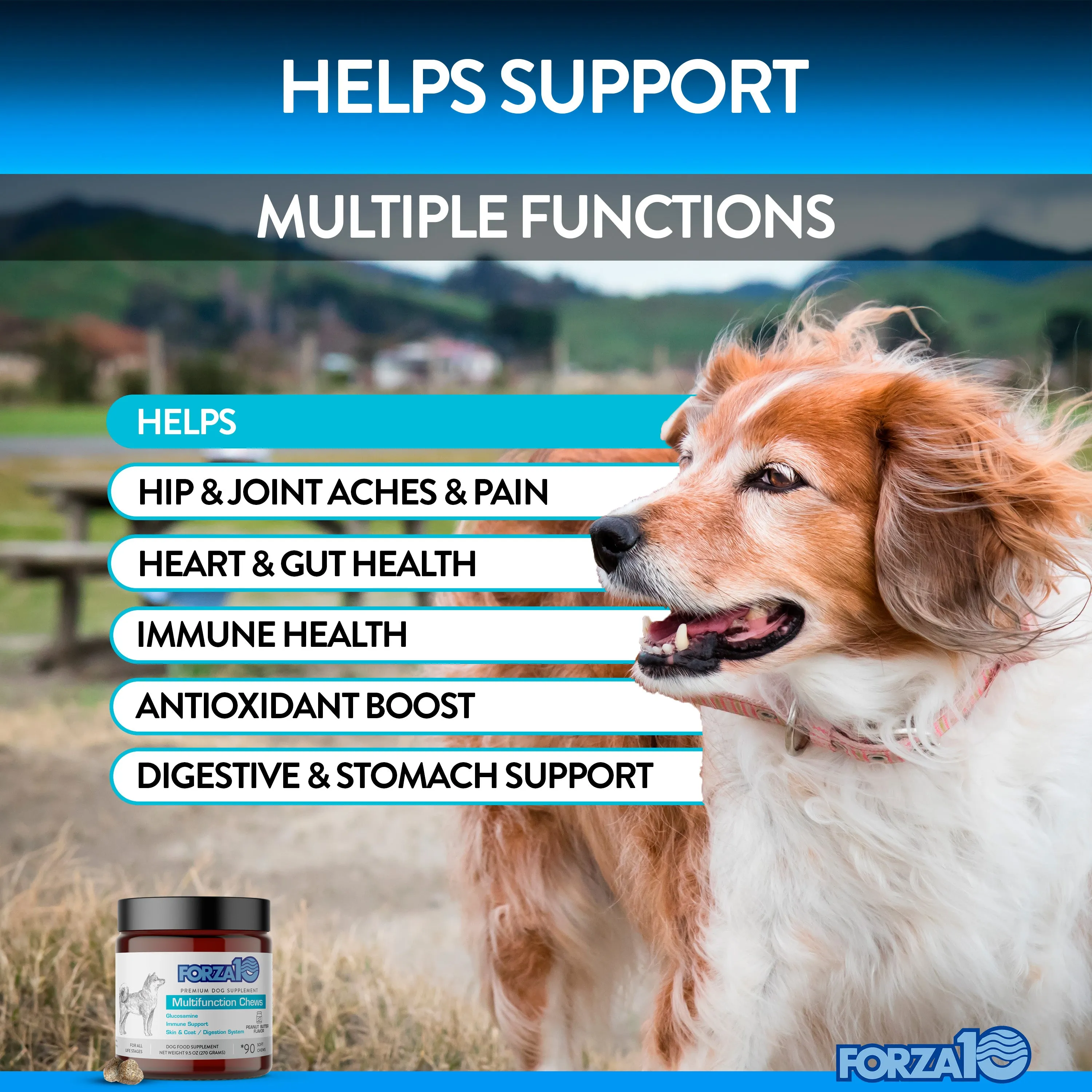 Forza10 Multifunction Supplement Soft Chews