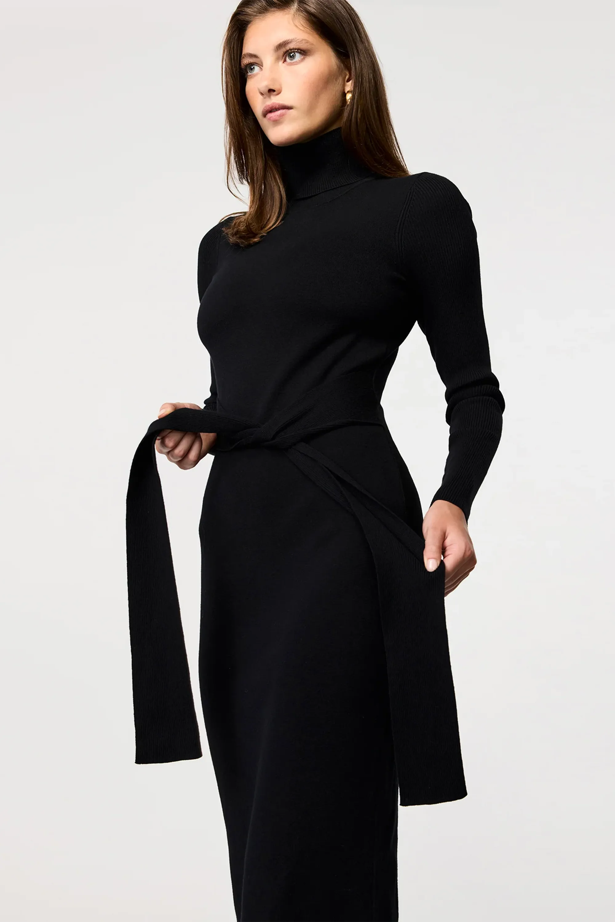 Logan Turtleneck Dress