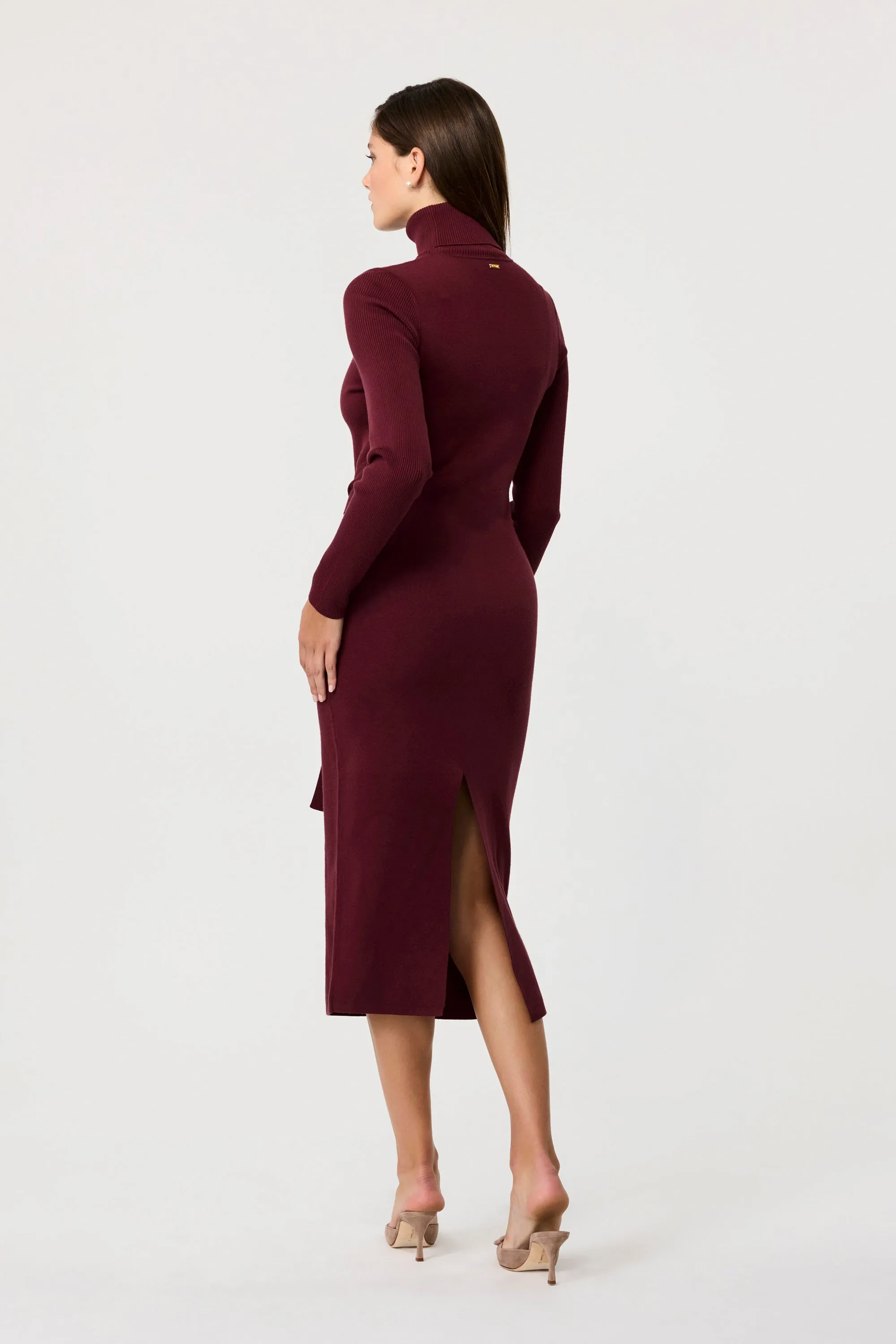 Logan Turtleneck Dress