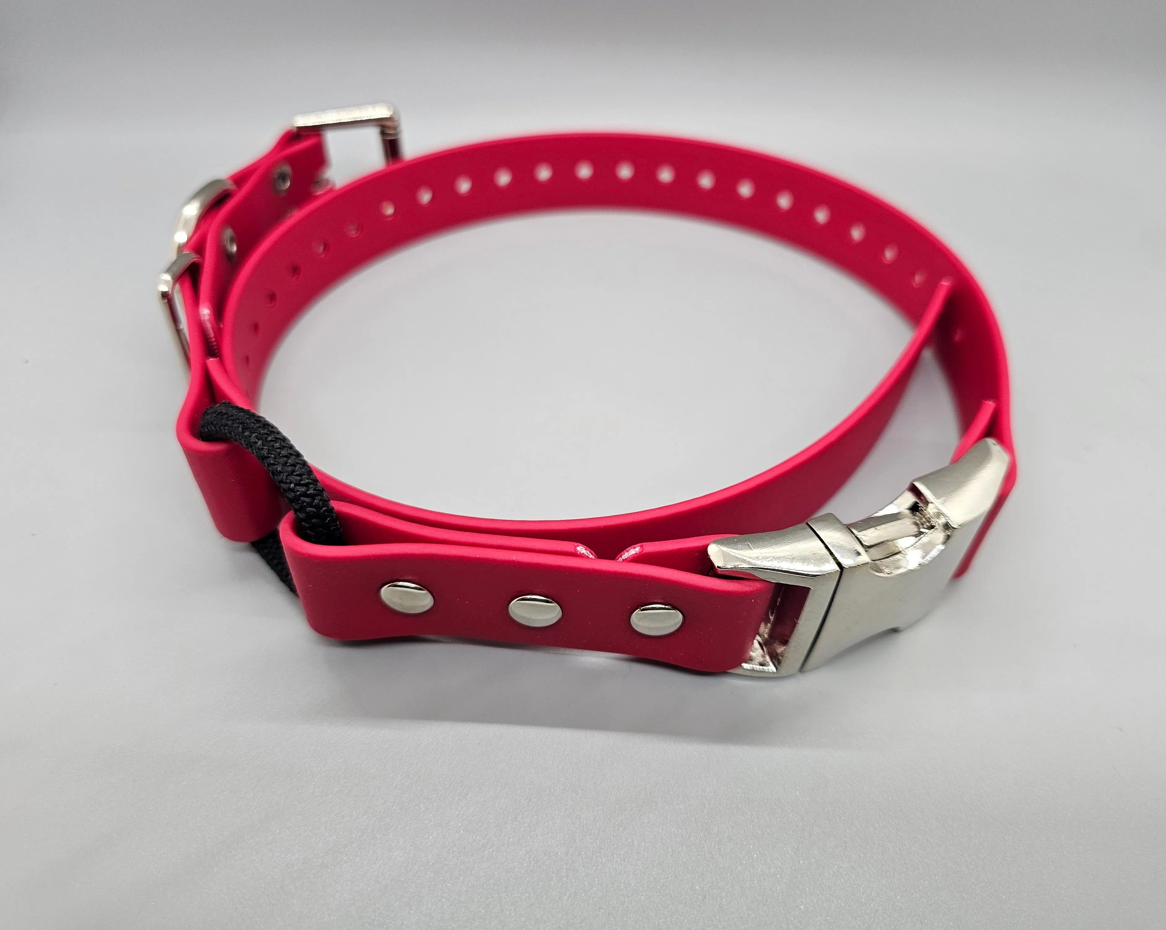 Quick Snap Bungee Collar 1"