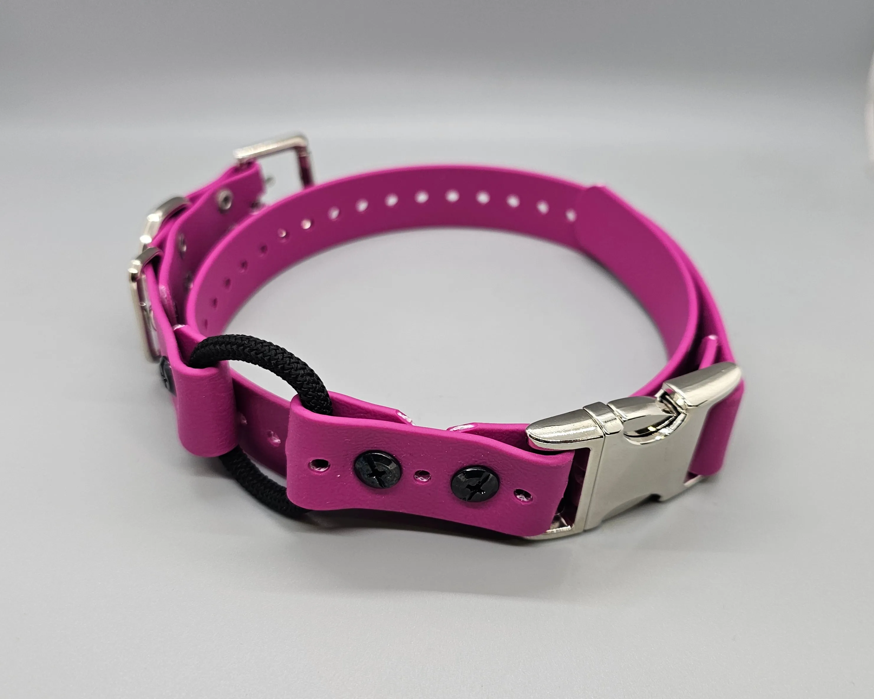 Quick Snap Bungee Collar 1"