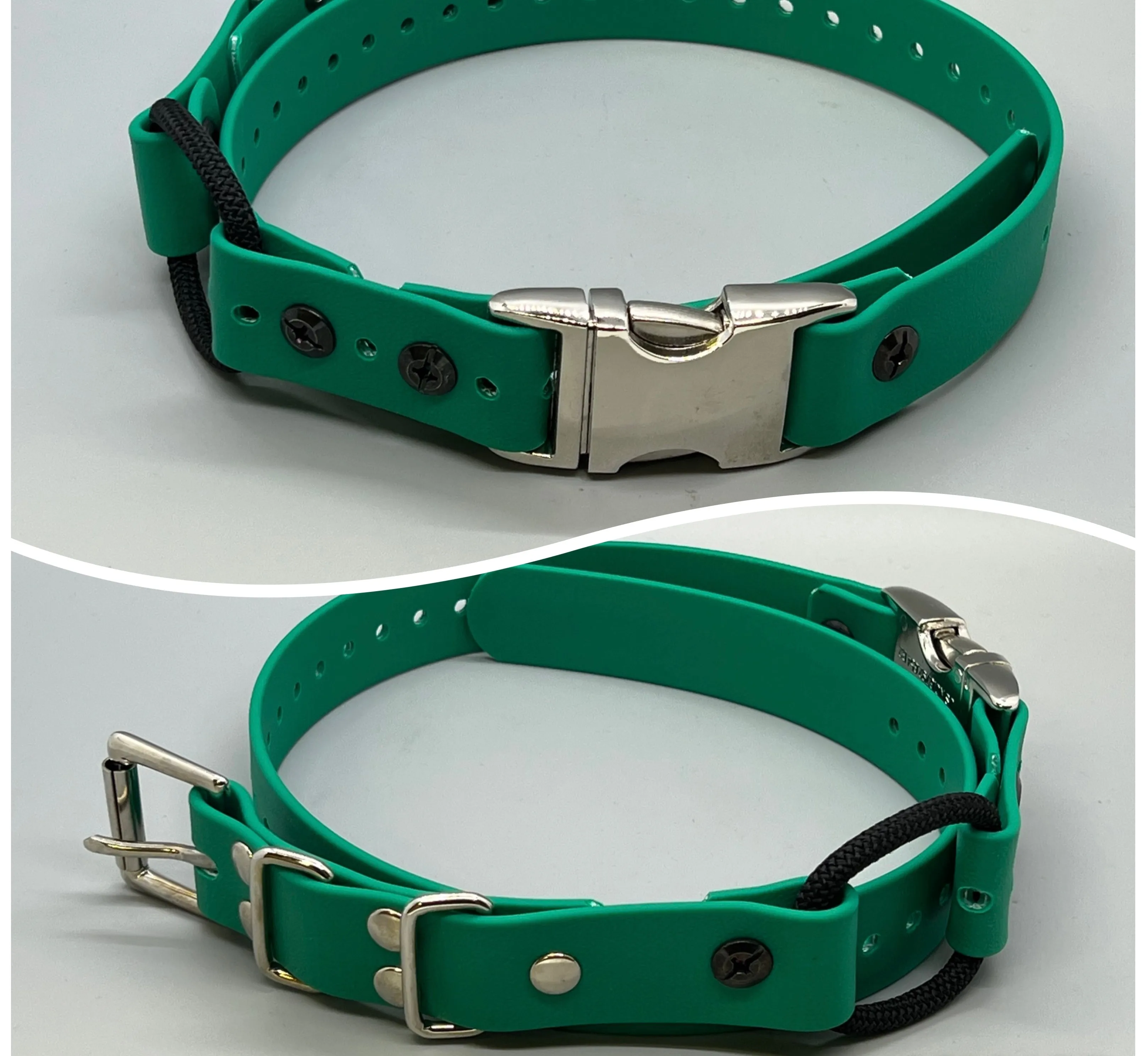 Quick Snap Bungee Collar 1"