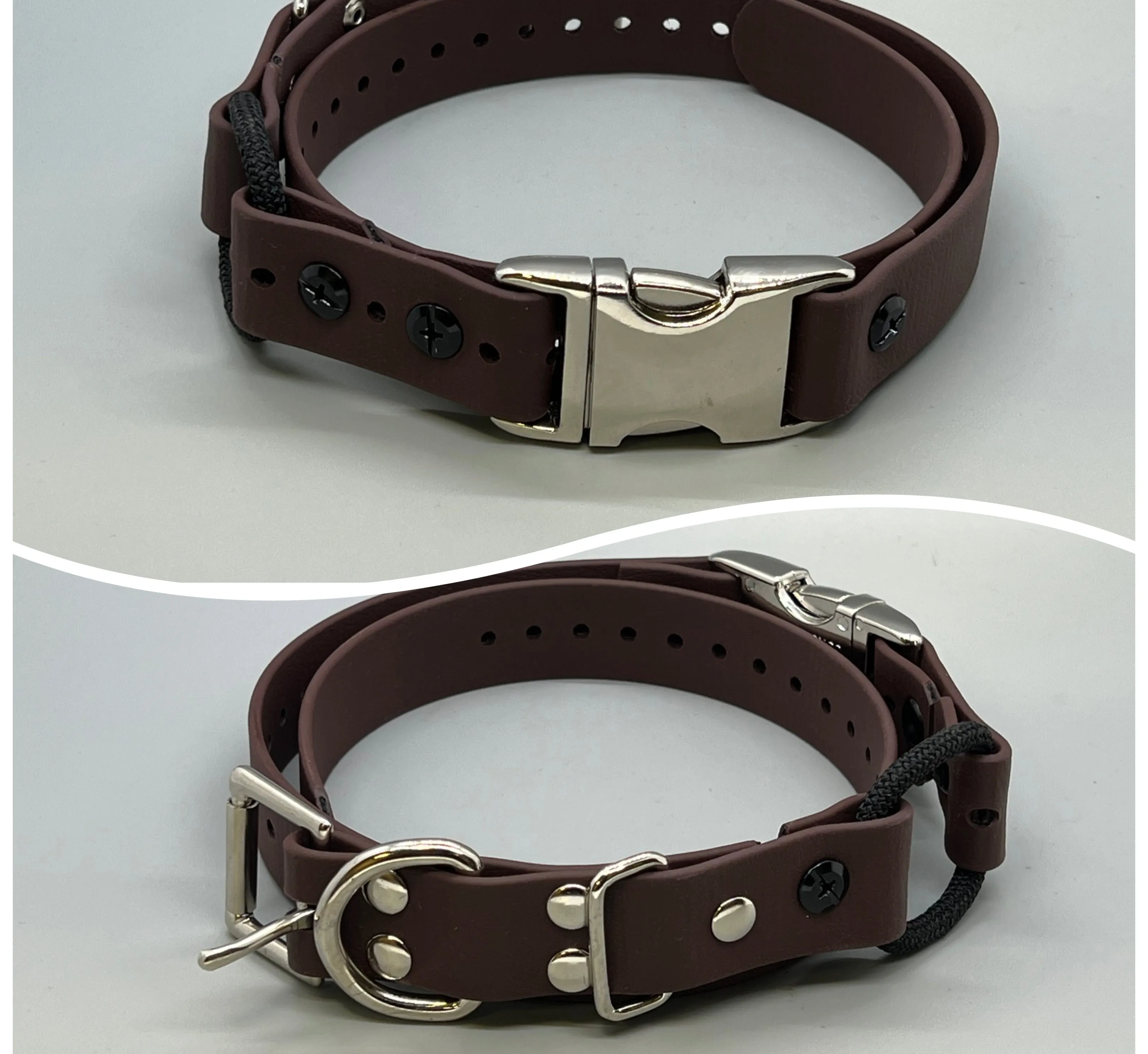 Quick Snap Bungee Collar 1"