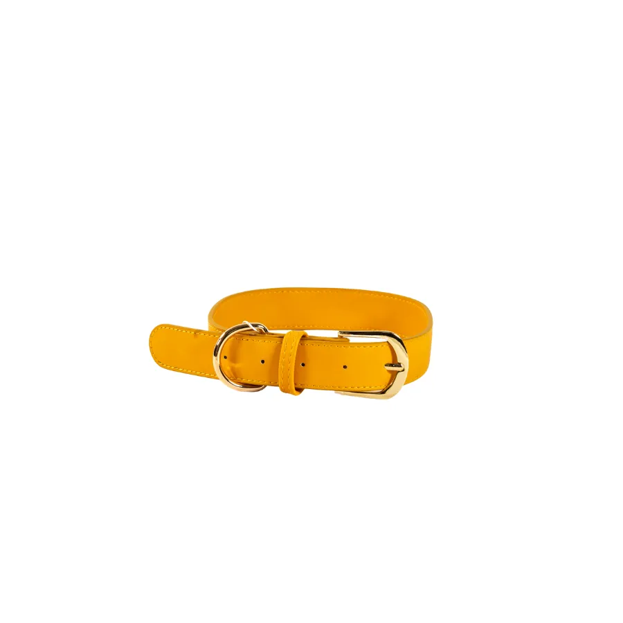 St Argo Mustard Collar