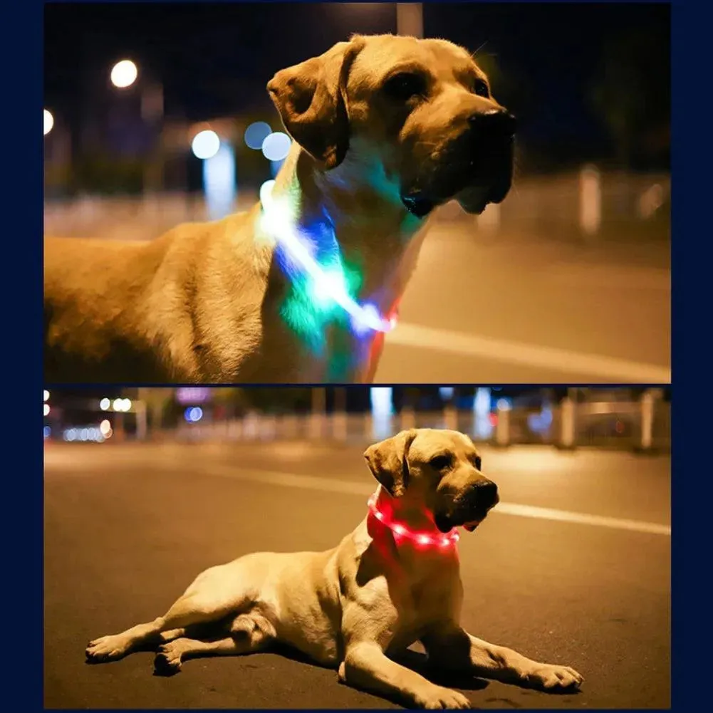 USB LED Dog Collar